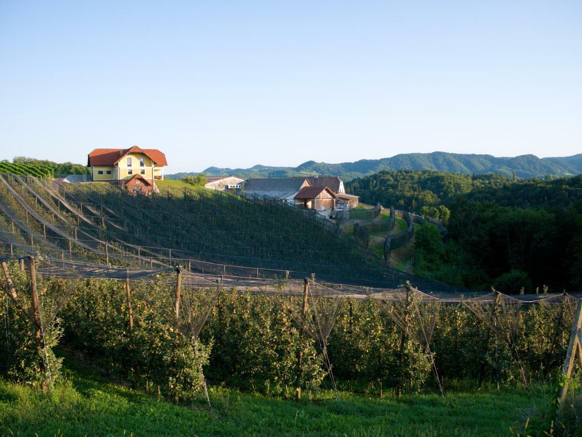 Holiday Home Winzerhaus Eva Spicnik Exteriör bild